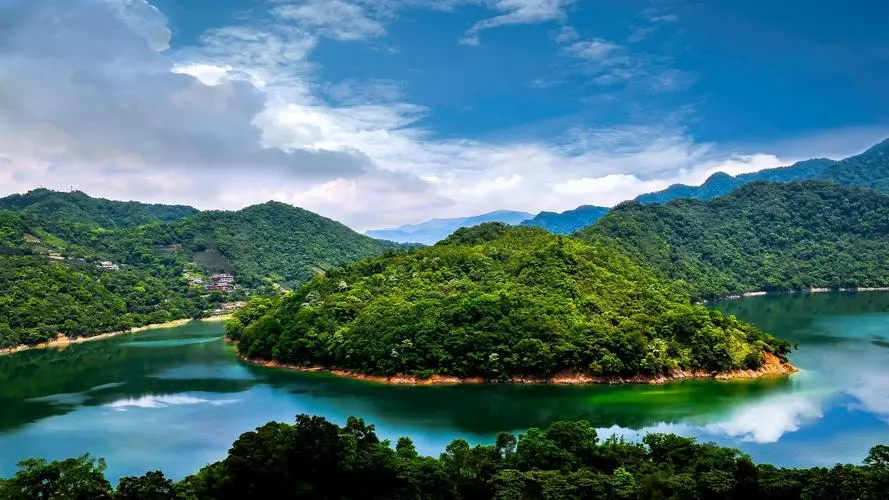 全自动高精度高端